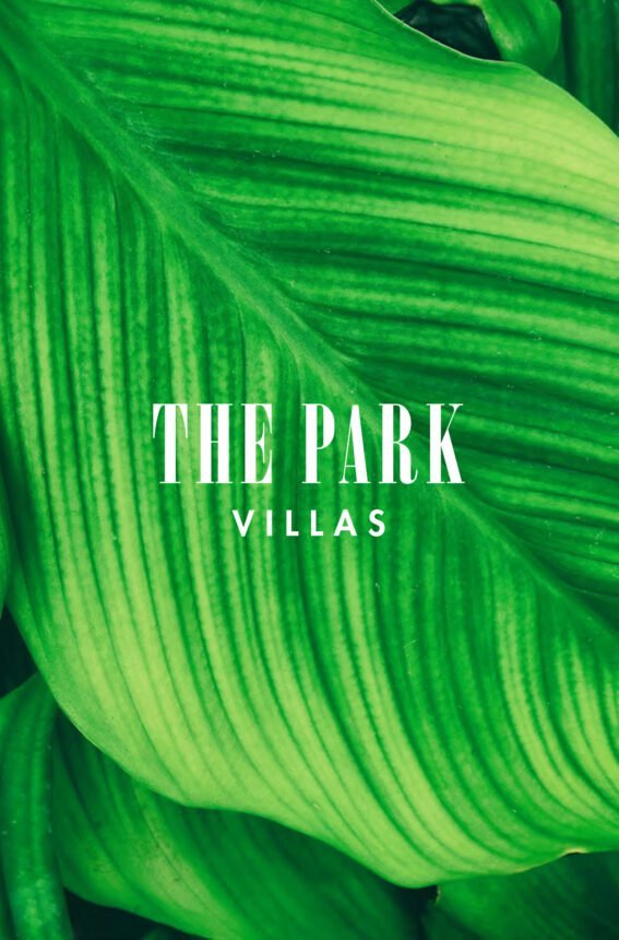 Brochure cover